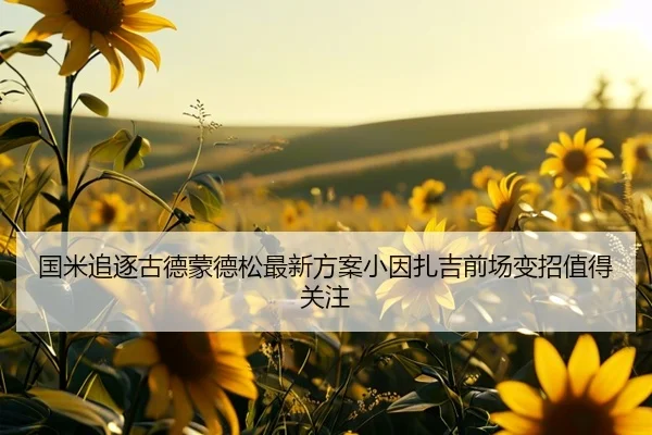 国米追逐古德蒙德松最新方案小因扎吉前场变招值得关注